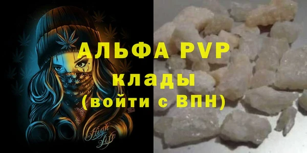 прущие грибы Белоозёрский