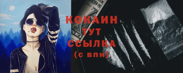 дмт Белокуриха