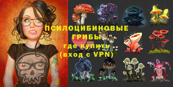 дмт Белокуриха