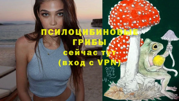 прущие грибы Белоозёрский