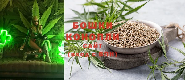 дмт Белокуриха