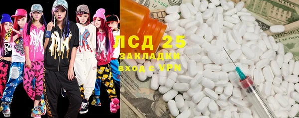 прущие грибы Белоозёрский