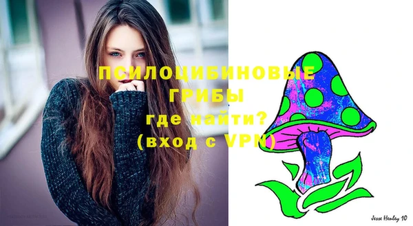 бошки Беломорск