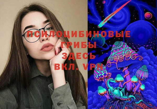 прущие грибы Белоозёрский