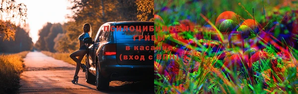 прущие грибы Белоозёрский