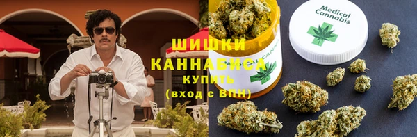 дмт Белокуриха