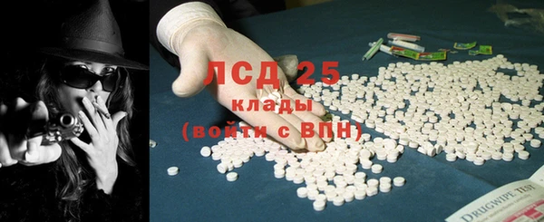 прущие грибы Белоозёрский