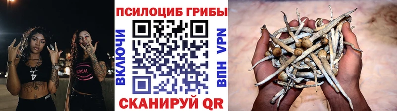 Купить где  Мариинск  Псилоцибиновые грибы ЛСД 